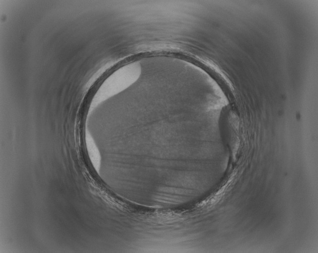 X0000067890983200605111846