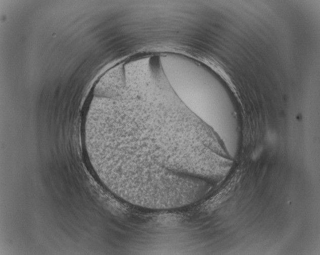 X0000067890984200605111846