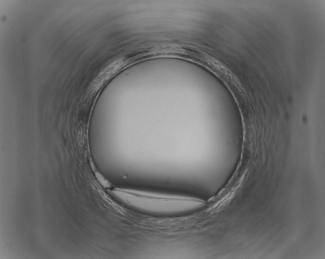 X0000067890985200605111846