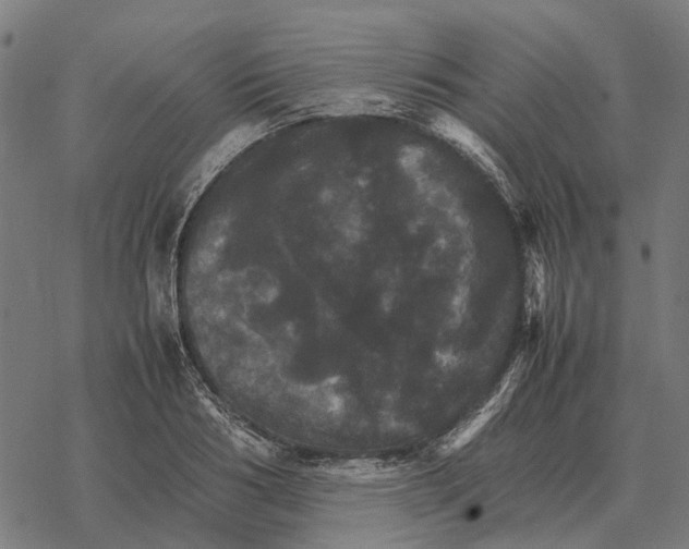 X0000067890986200605111846