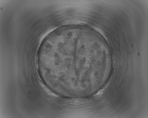 X0000067890987200605111846