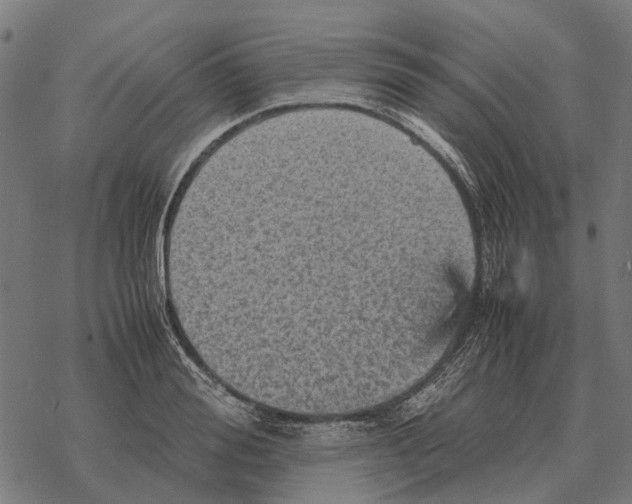 X0000067890988200605111846