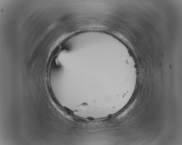 X0000067890989200605111846