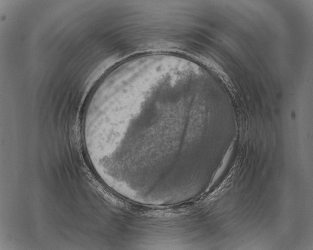 X0000067890990200605111846