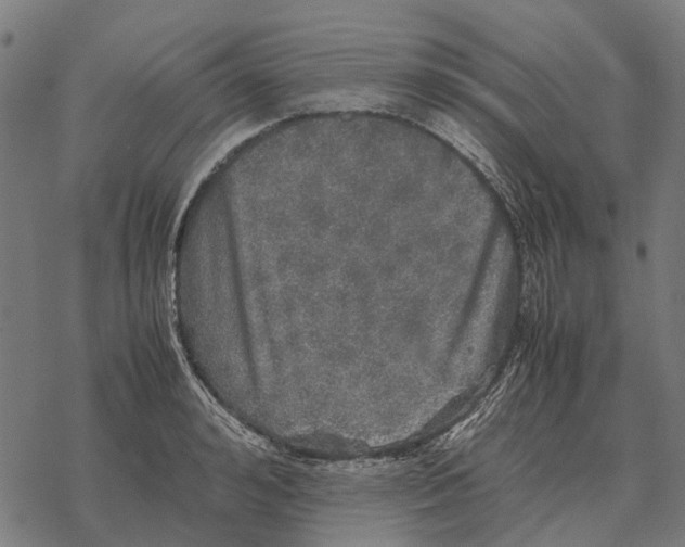 X0000067890992200605111846