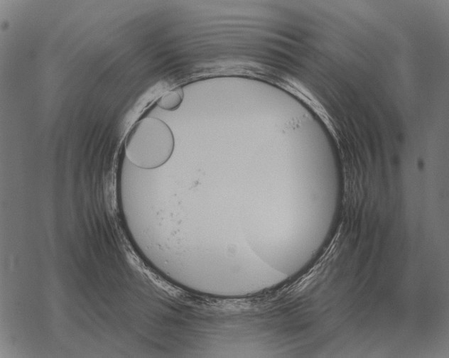 X0000067890994200605111846