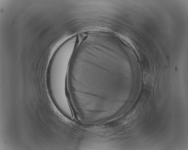 X0000067890995200605111846