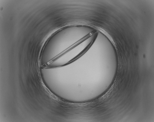 X0000067890996200605111846