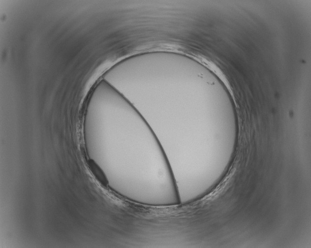 X0000067890997200605111846