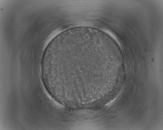 X0000067890999200605111846