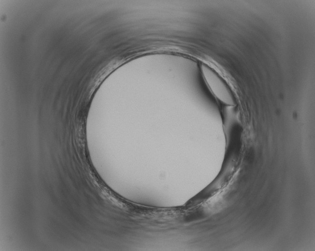 X0000067891001200605111846