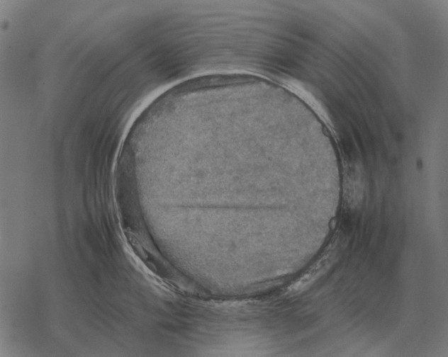 X0000067891004200605111846