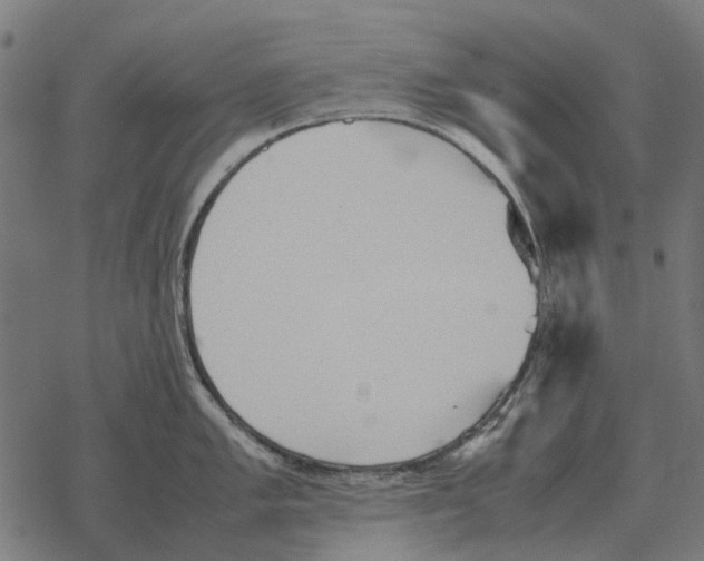 X0000067891005200605111846