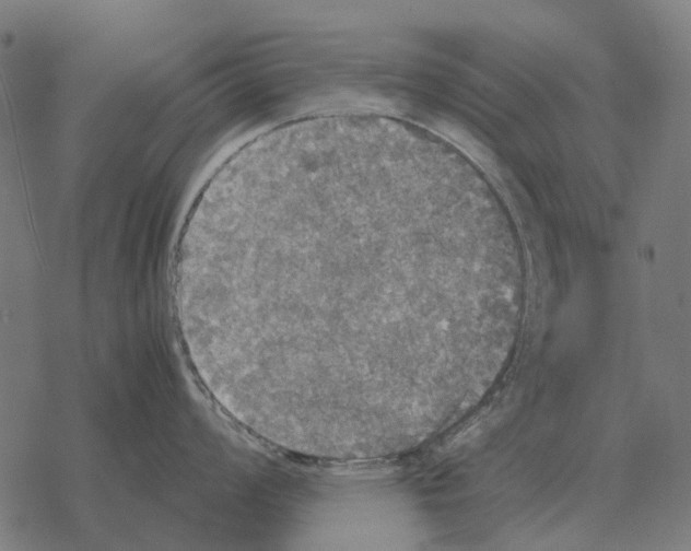 X0000067891008200605111846