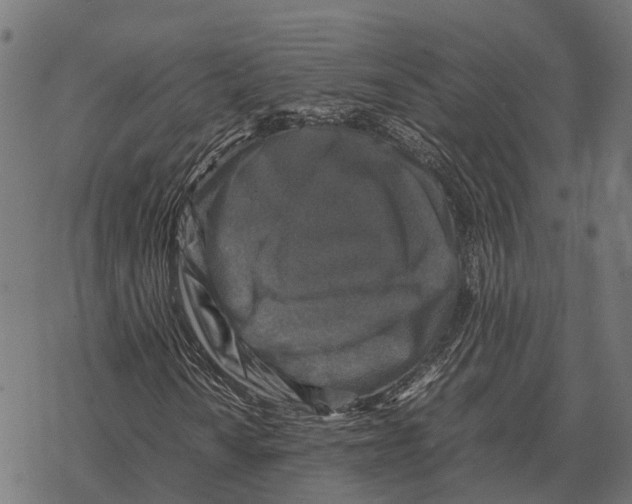 X0000067891010200605111845