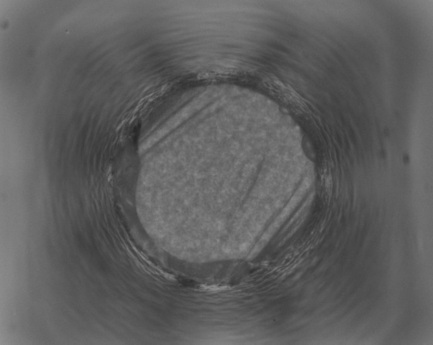 X0000067891012200605111845