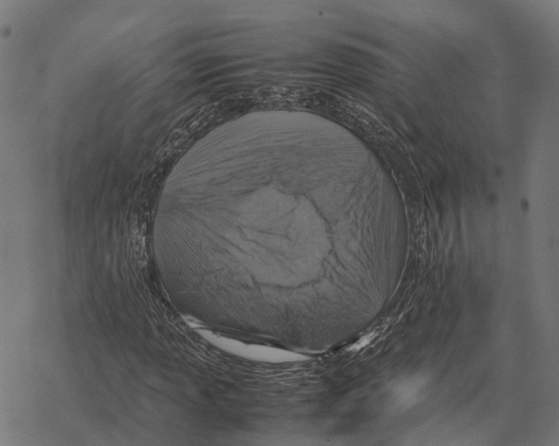 X0000067891013200605111845