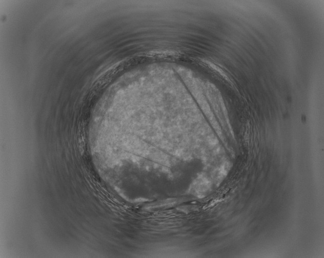 X0000067891015200605111845