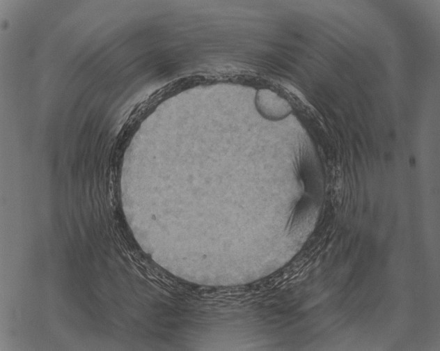 X0000067891016200605111845