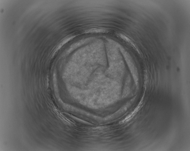 X0000067891017200605111845