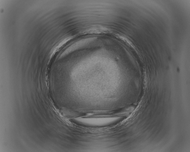 X0000067891018200605111845