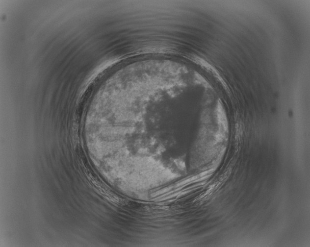 X0000067891019200605111845