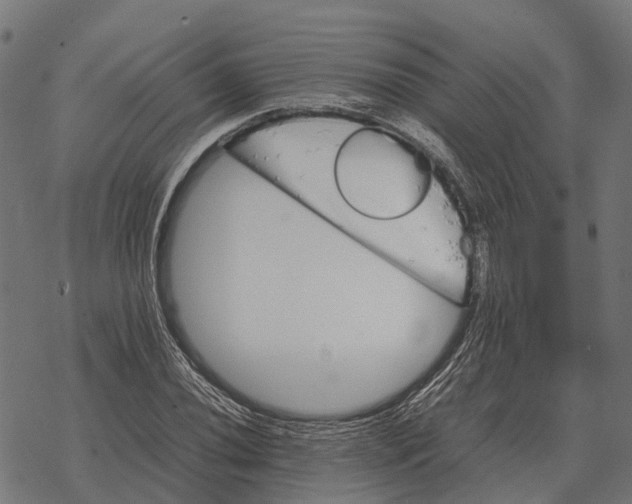 X0000067891020200605111845