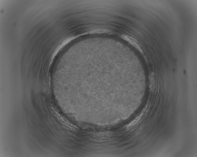 X0000067891021200605111845