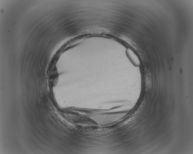 X0000067891022200605111845