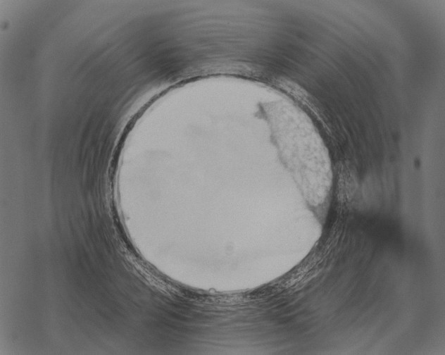 X0000067891024200605111845