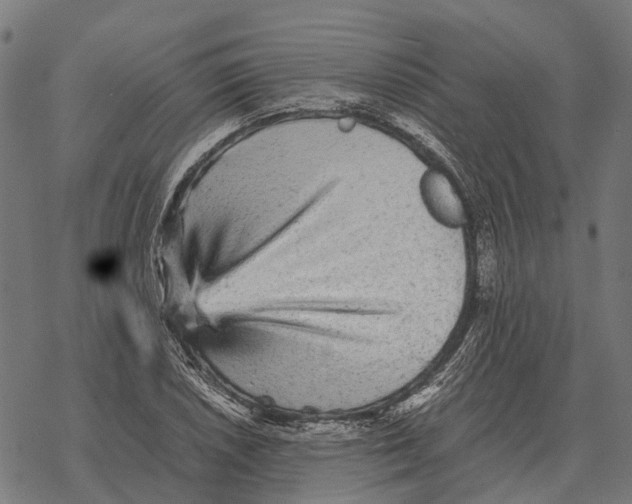 X0000067891026200605111845