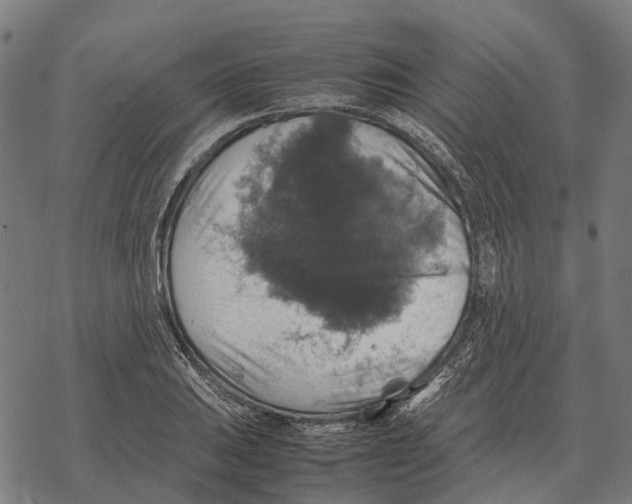 X0000067891031200605111845