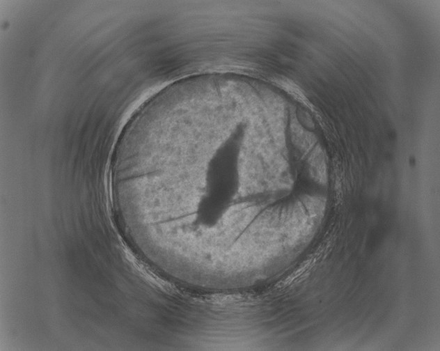 X0000067891032200605111845