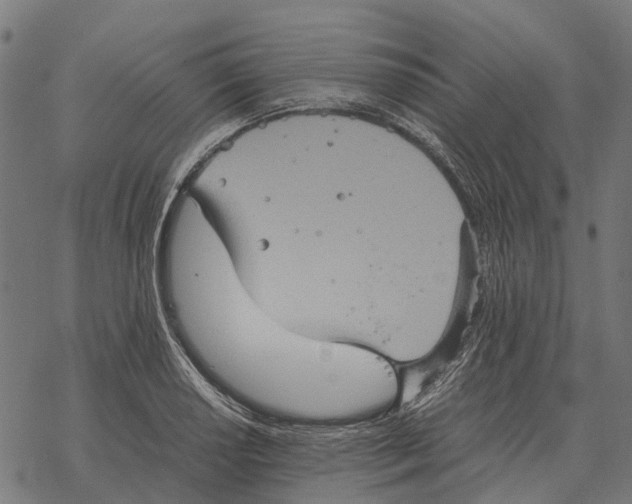 X0000067891034200605111845