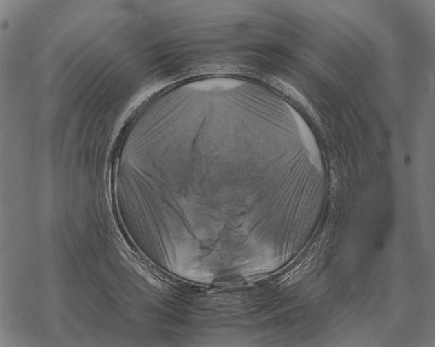 X0000067891035200605111845