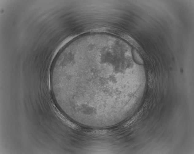 X0000067891036200605111845