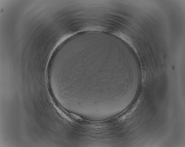 X0000067891037200605111845