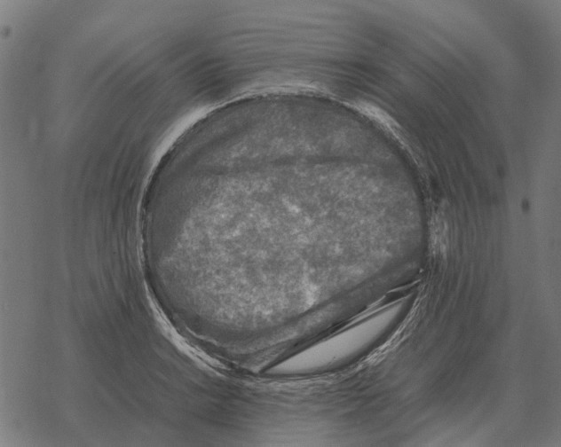 X0000067891038200605111845