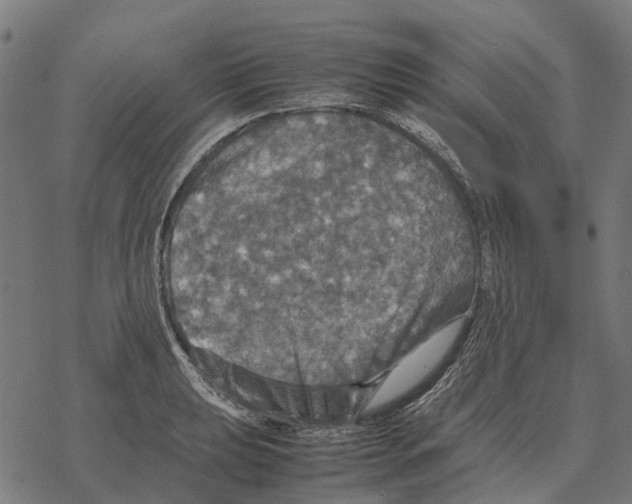 X0000067891039200605111846