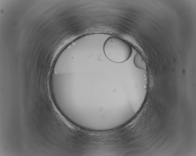 X0000067891040200605111846