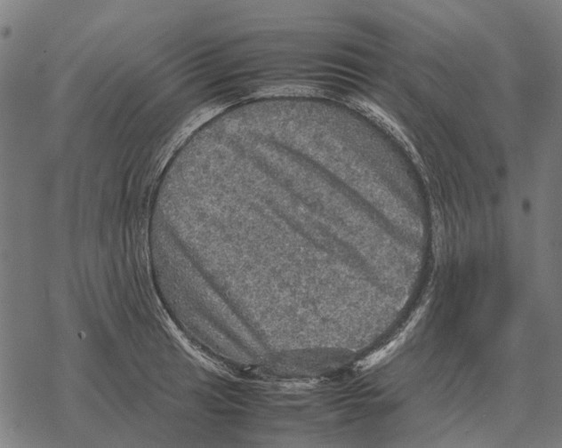 X0000067891041200605111846