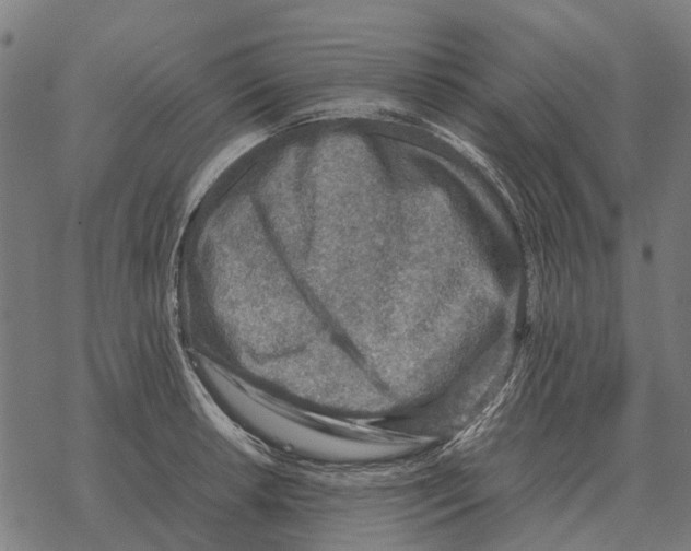 X0000067891042200605111846