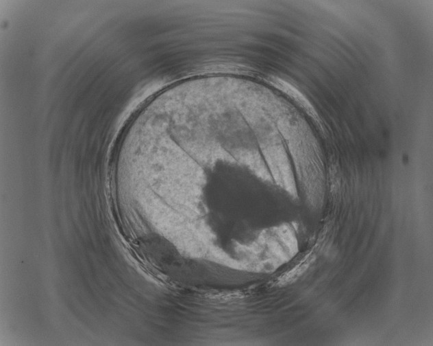 X0000067891043200605111846