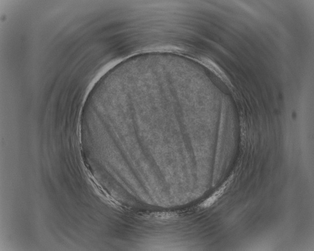 X0000067891044200605111846