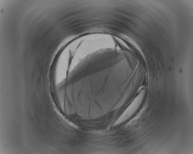 X0000067891045200605111846