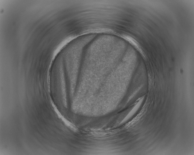 X0000067891046200605111846