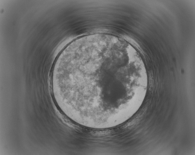 X0000067891047200605111846