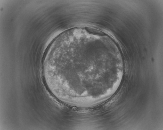 X0000067891048200605111846