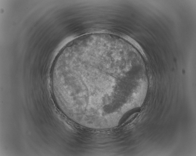 X0000067891051200605111846