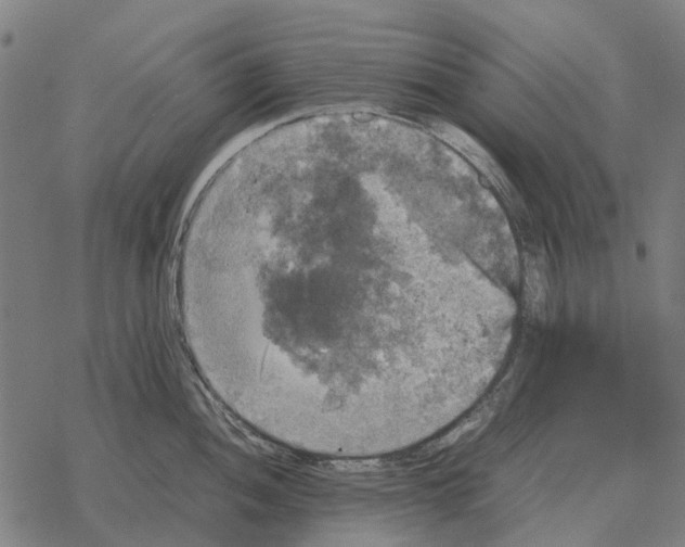 X0000067891052200605111846